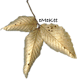 Glod leaf
